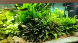 Ein kleiner Ausschnitt