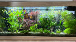 Das Hauptbecken etwas umgebaut