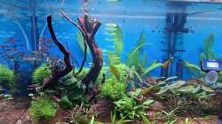 Gesamtansicht vom Oktober 2025