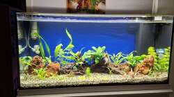 Ansicht vom 16.1.2026