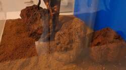 Dekoration im Aquarium Projekt 2025