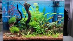 Aquarium Projekt 2025