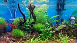 Aquarium Projekt 2025