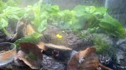 Besatz / Tiere 03.09.2026