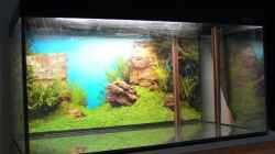 Aquarium 54 Liter