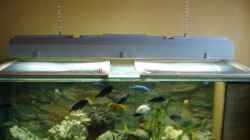 Aquarium Becken 769