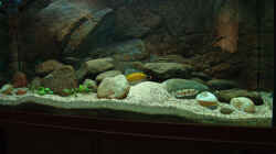 Aquarium Becken 771