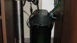 Rechte Seite: 2213 Eheim Pumpe mit Bioplast CO2 System
