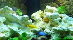 Aquarium Becken 7914