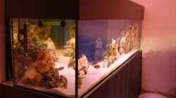 Aquarium Becken 7944