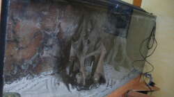 Dekoration im Aquarium Treppenhaus