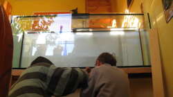 16.02.08 Meine beiden Männer beim Verkleiden des Beckens