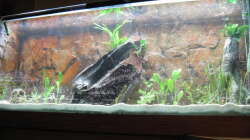 Aquarium Treppenhaus