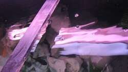 Technik im Aquarium Becken 805