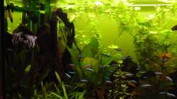 linke Hälfte nach 3 Monaten