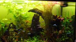 rechte Hälfte nach 3 Monaten