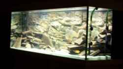 Aquarium Becken 8330