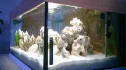 Aquarium Becken 838
