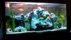 Aquarium Becken 842