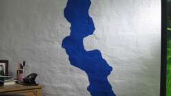 Dekoration im Aquarium Fadenmaulbrüter-Tank