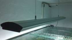 Technik im Aquarium Fadenmaulbrüter-Tank