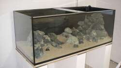 Stand 09.06.2008 (noch kein Wasser im Becken)