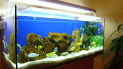 Aquarium Becken 8716