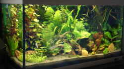 Aquarium Becken 8810