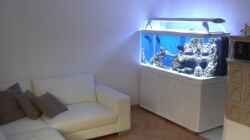 Aquarium Becken 8816