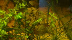 kleinster der 3 Steine