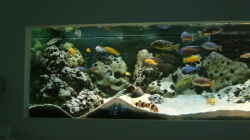 Aquarium Becken 89