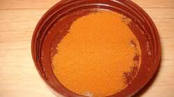 Entkapselte Artemia für meine Jungfische