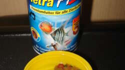 Technik im Aquarium Mein 200l Hauptbecken