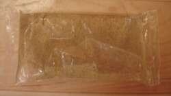 Lebende weiße Mückenlarven