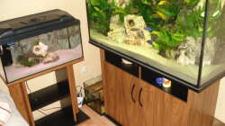 Aquarium Mein 200l Hauptbecken