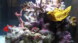 Aquarium Becken 9103