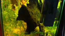 Einblick von recht in das Becken