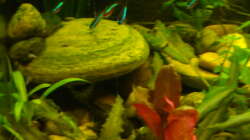 Steinaufbau linke Seite