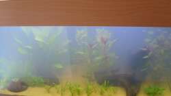 Becken am 14.05.2008