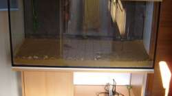 Becken ohne Wasser (12.05.2008)