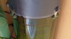 Eheim Außenfilter (14.05.2008)