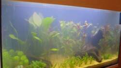 Becken am (15.05.2008)