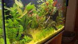 Becken am 25.05.2008