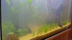 Becken am 14.05.2008