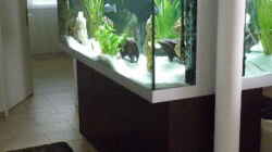 Aquarium Becken 9198