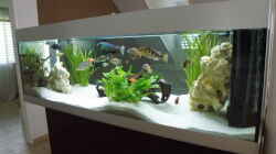 Aquarium Becken 9198