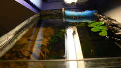 Aquarium Becken 9328