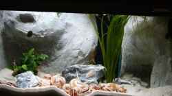 Aquarium Becken 9390