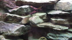 25 kg Naturbruchgestein