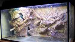 Aquarium Becken 9440